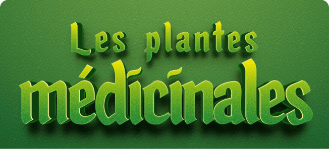 Les plantes médicinales